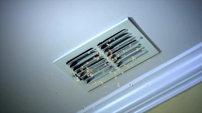 Best Air Vent Cleaning Services  in Theresa, WI