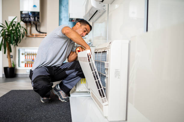 Best Home Air Vent Cleaning  in Theresa, WI