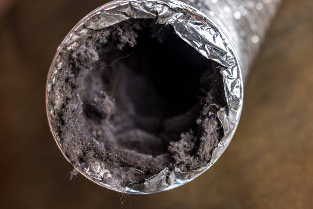 Best Air Duct Cleaning Near Me  in Theresa, WI