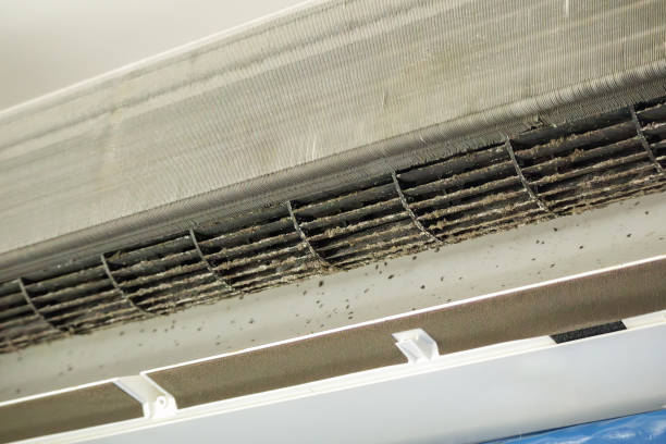 Best HVAC Maintenance and Cleaning  in Theresa, WI