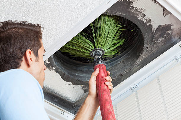 Best Ductwork Cleaning Services  in Theresa, WI