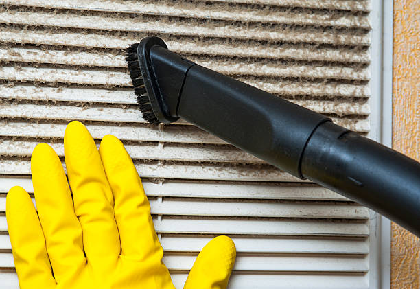Best Professional Duct Cleaning Services  in Theresa, WI